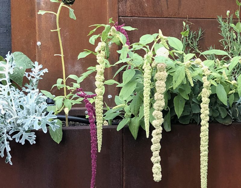 Steel landscape edging