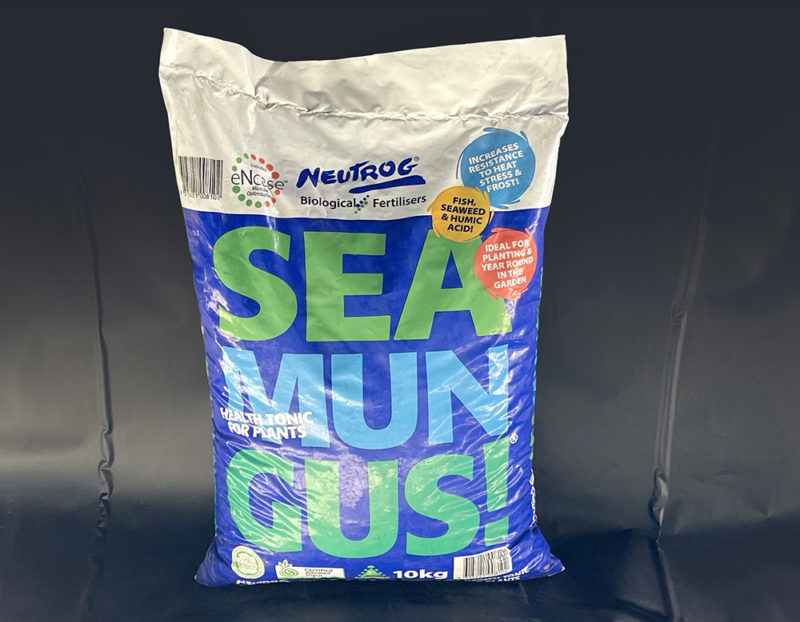 Neutrog Sea Mungus